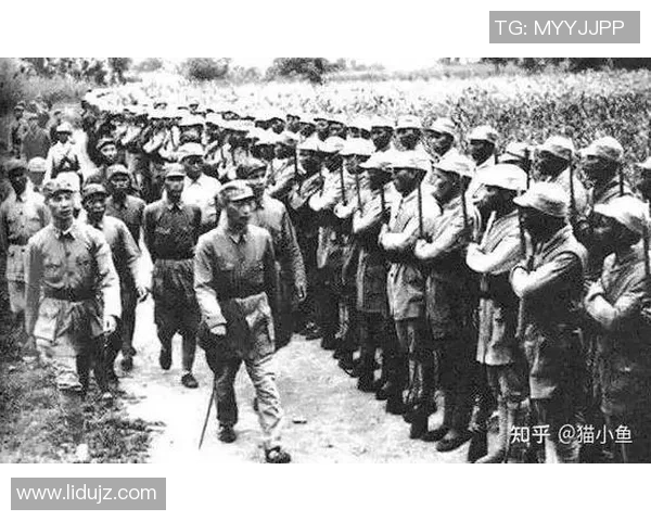 南京极限运动队反击战术深度解析与实战应用探讨